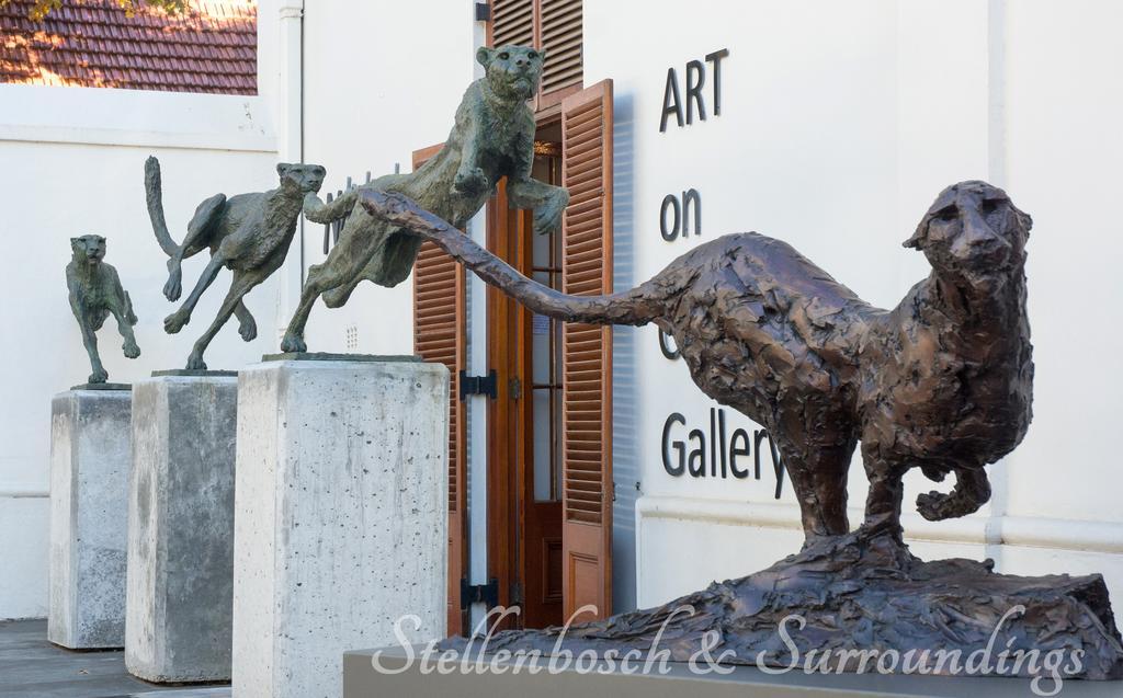 Avemore Andringawalk No 221 Apartamento Stellenbosch Exterior foto